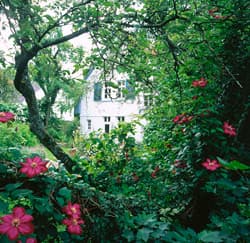 verwunschener Garten in Ostwestfalen