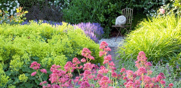 Garten mit Stauden statt Rasen