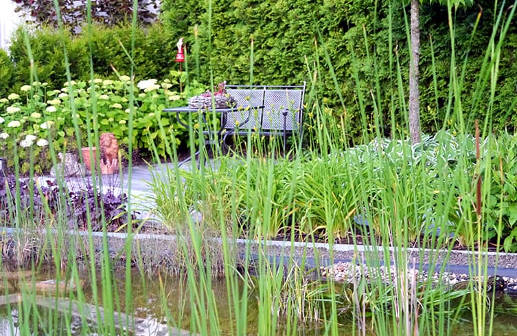 Schwimmteich mit Ausblick in Münster