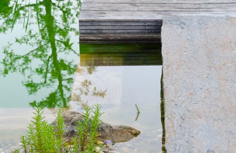 Schwimmteich mit Ausblick in Münster