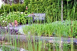 Schwimmteich mit Ausblick in
Essen