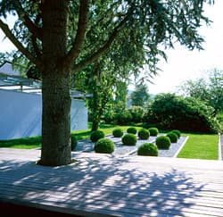 Gartengestaltung mit viel Buchs und Kiesflächen